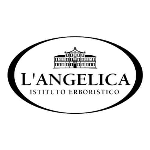 L'Angelica