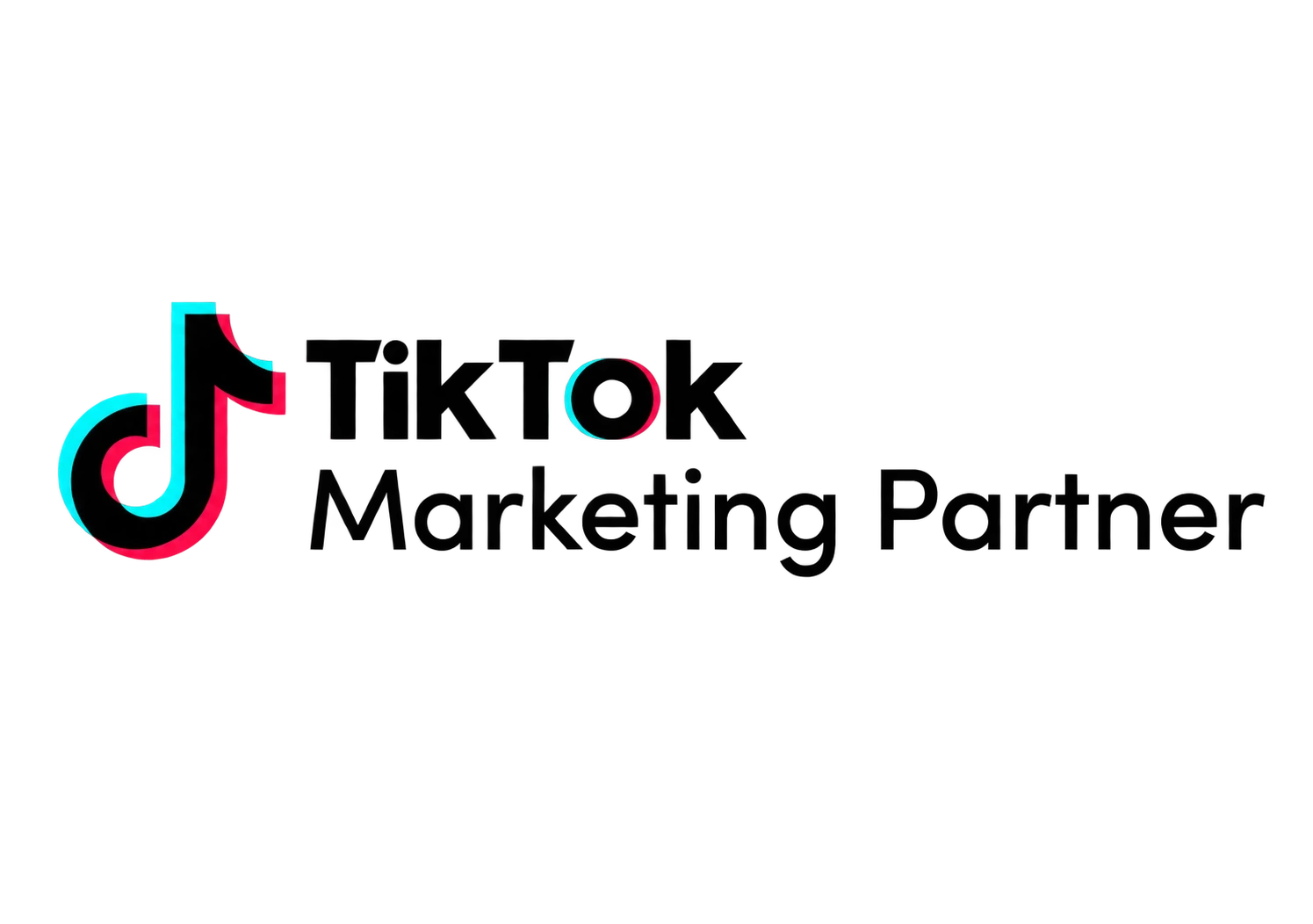 TikTok Marketing Partner