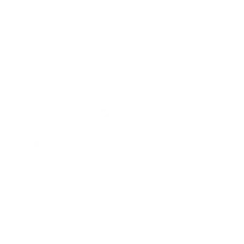 Bravo logo