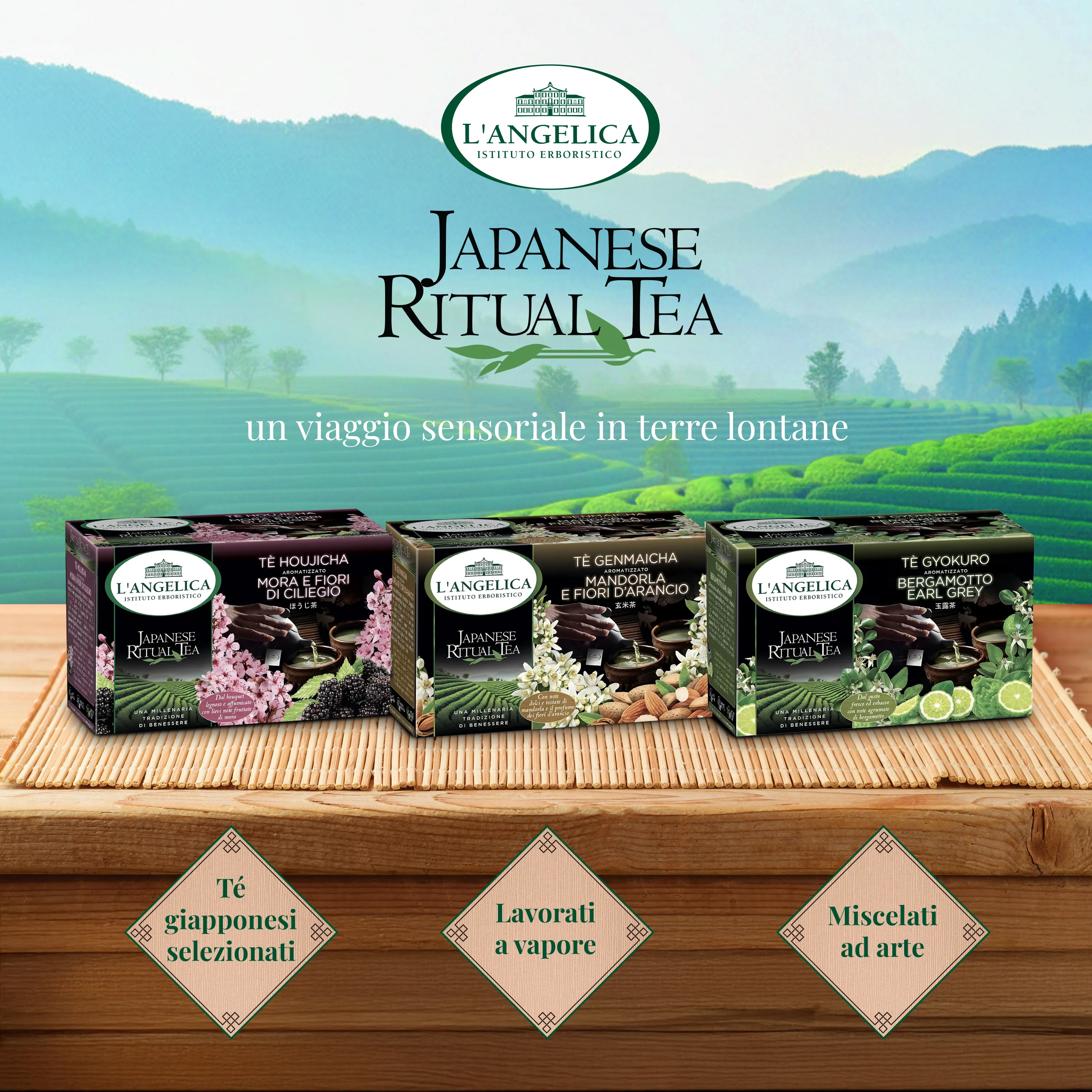 L'Angelica — Japanese Ritual Tea