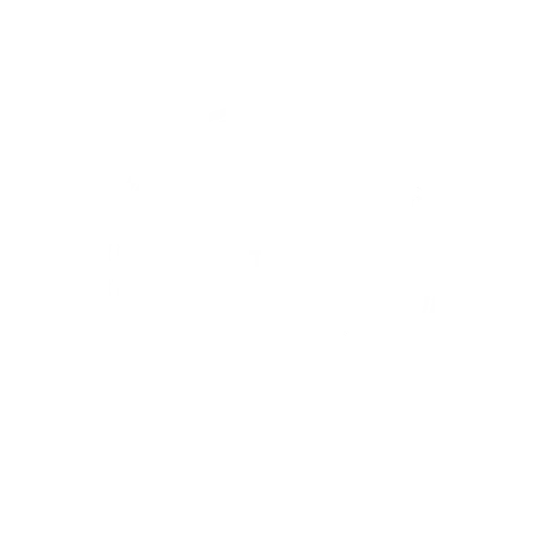 The Family